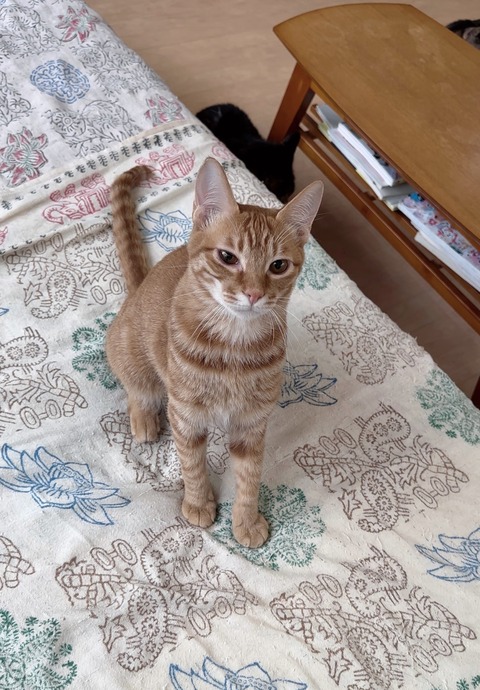 049855B2-5E56-47CF-9558-42237637E08F