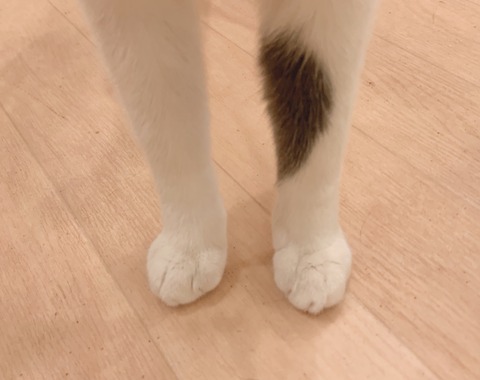 3A540D75-3DA2-43A0-BAE1-CA35D495E34B