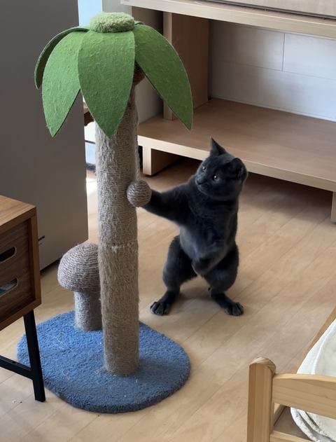 7EA80434-DB89-49CE-B108-710C209EE9D9