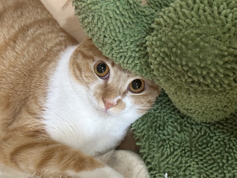 812641DA-46B1-4380-8EC2-ECF40677DA3D