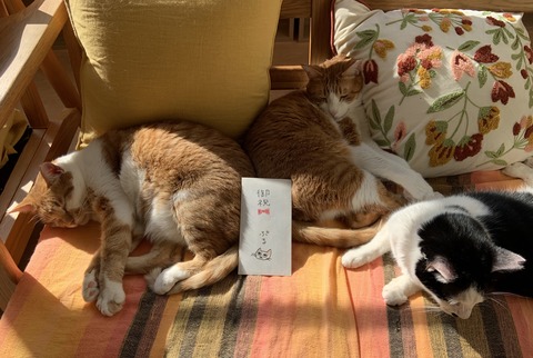 AD1A4DE7-F1D5-41D5-A693-4B2F0C51FC07