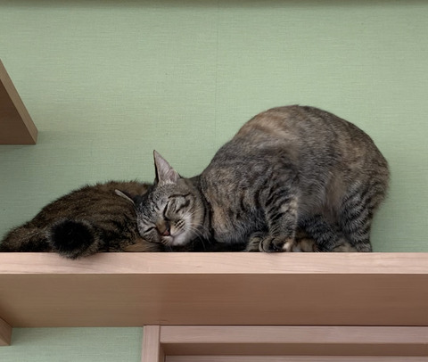 0A72C1E5-C4A4-4A50-9A45-62924EC51918