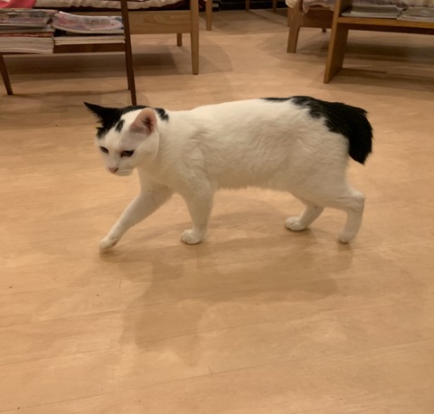 2AA17E91-B4CF-4B0F-9518-D9D69497437A