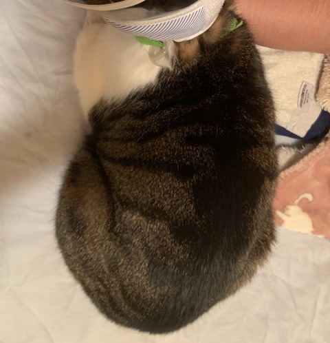 E224138F-D845-4D32-B56F-8C612116C29F