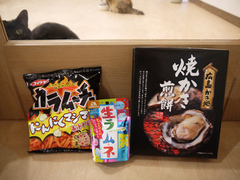 猫式ブログ~里親募集型猫カフェ