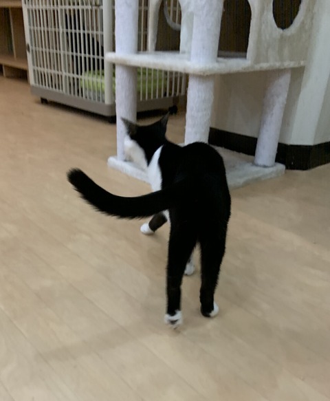 8441A56A-F30A-4808-BFFA-23FFF71EC4D1