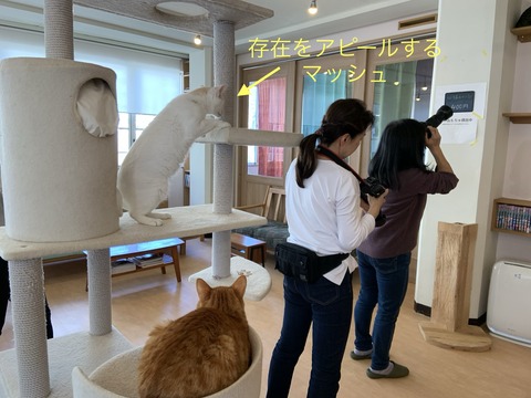 F6960C51-367B-4EE0-91AC-E10430A309A9