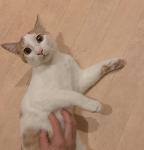 56082FAC-517D-40AD-AEBE-DEEEC8A8CAFC