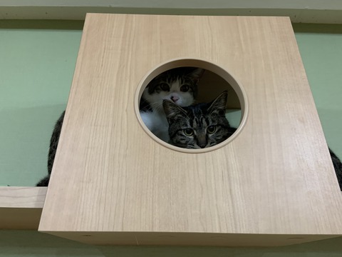 B609E96D-2BDC-4F13-BF1F-D30EA4274FED