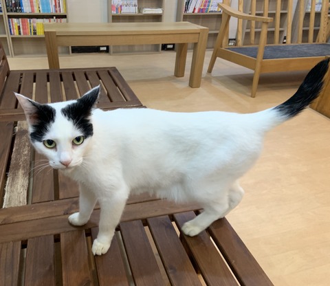 28617B74-86AD-4FE1-81F4-0B843348133D