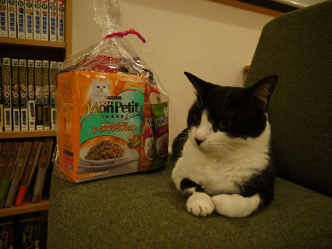 猫式ブログ~里親募集型猫カフェ