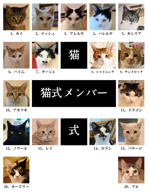5D8F0D8B-2CAD-41CC-85A4-EB7C0995FDD2