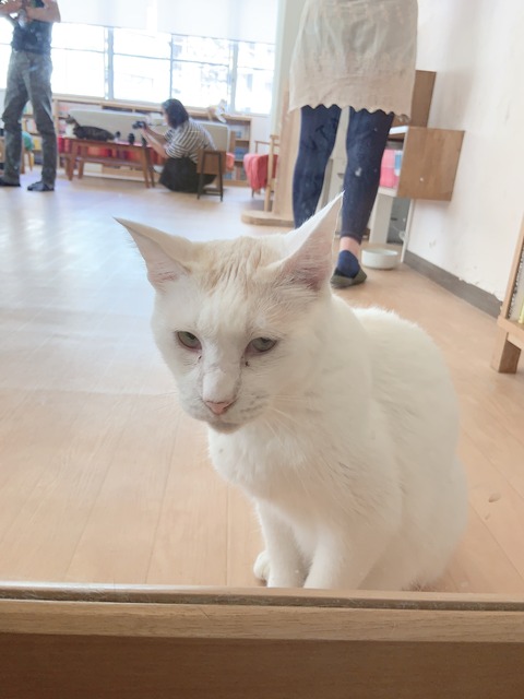 C024B431-D66A-44DA-A436-4C7802EC174A