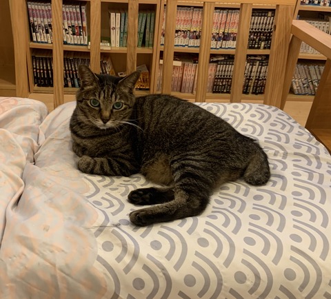 080F9294-06EC-4C5F-9CFA-F2B5183EBDBB