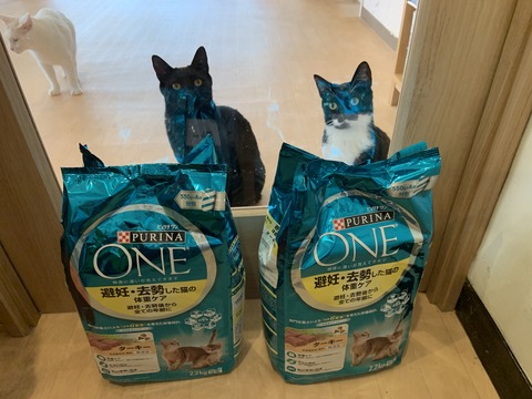 CB548D88-BBE7-41F6-BE2B-DE5B3E521097