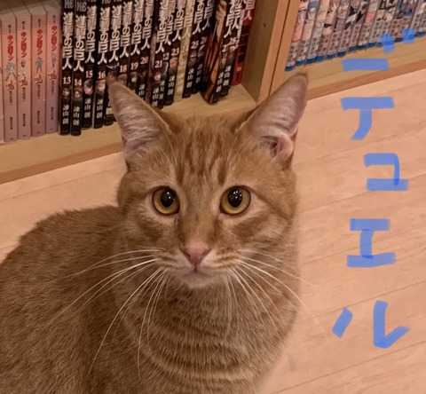 A4D61E39-BC82-4335-9433-4BD72791DFE1