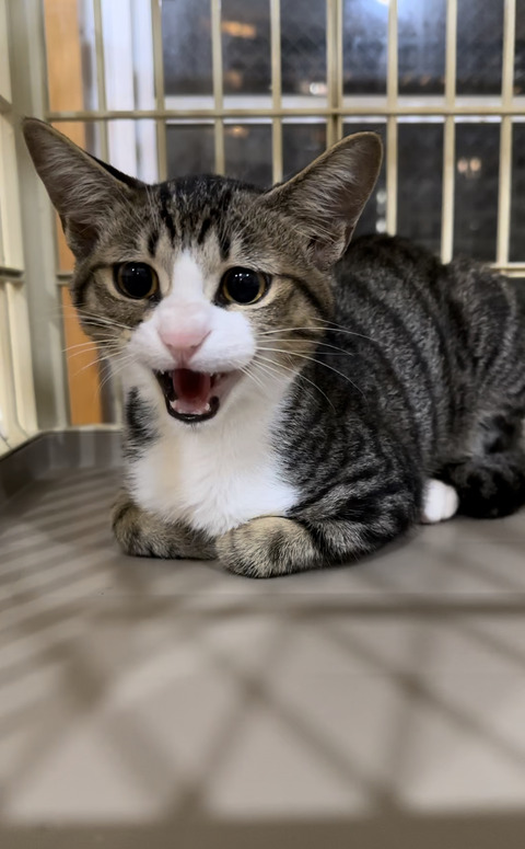 B3DA122C-8741-4D3C-BCBF-81930873D054