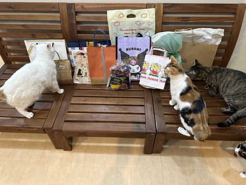 B5C6E39F-9CE0-4594-B10B-0661E833D727