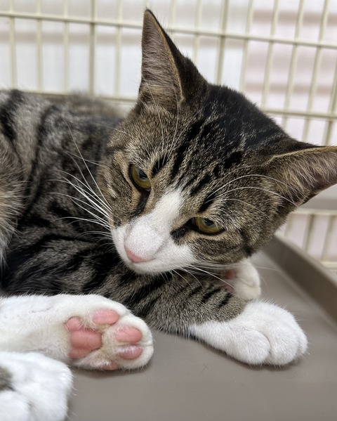 CCF37CD9-F2A9-4426-98C4-62C5A753A6BD