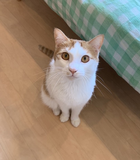 7129CD1F-5A55-4E39-8B11-F89845B4C960