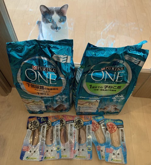 20DEA24F-ED79-4146-9565-66AEF42F6681