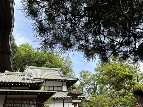 1699A438-77A5-413D-A370-852DA48A4BEE