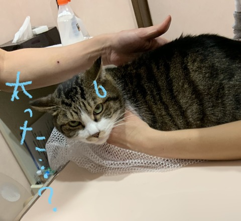 C4050019-E290-4EC0-8E82-11E53048CA33