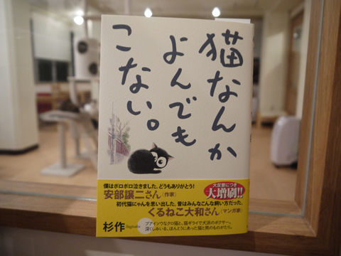 猫式ブログ~里親募集型猫カフェ