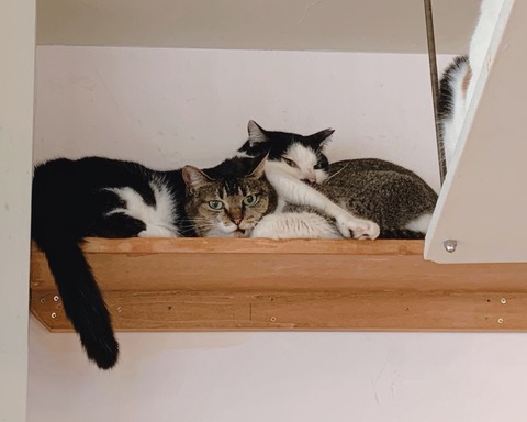 FDB8CEA1-0675-4F7C-88F1-728E150CDEFA