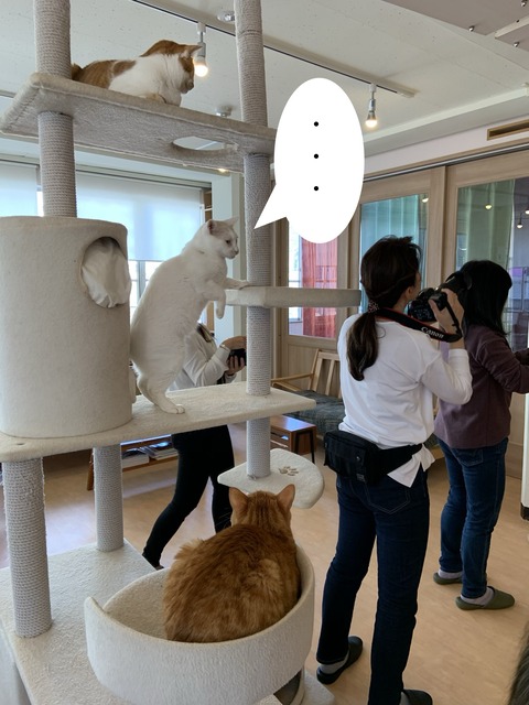 90C2F9E5-1B26-454E-A9FD-48C84272B449