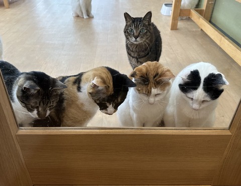 4E267DBB-E4B4-44F4-BA38-3EDAA6A45176