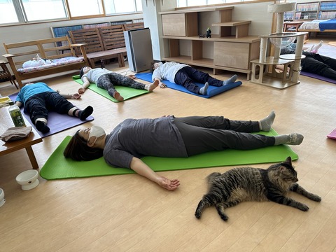 6B4BCDC1-2B40-4B38-A034-EE95DCA8E16B