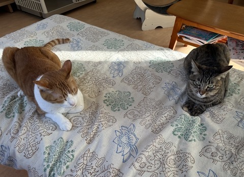 BD807FDD-DE7C-4C59-ADE7-65ED9A285CAE