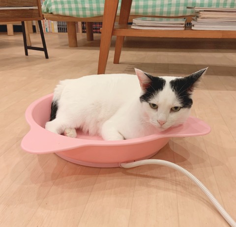 04D97CE6-4F13-440B-A672-00B9A4501868