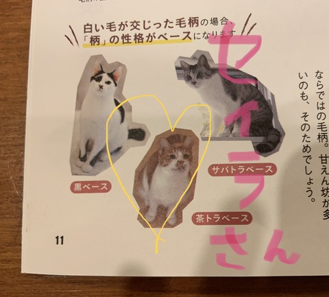 96548AE8-FE80-436D-888E-3E5EEF403647