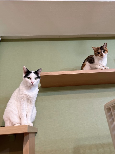 8965D752-A124-4D35-8CC1-534A505C2A57