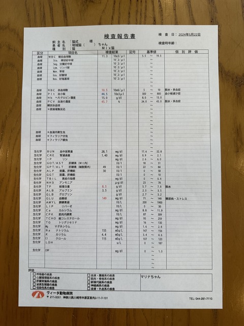 BC5F659F-A5AE-4A08-A177-E3830DCB62B6