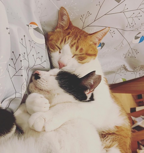 F89E196D-2BE0-4D76-BB8D-F6320489B029