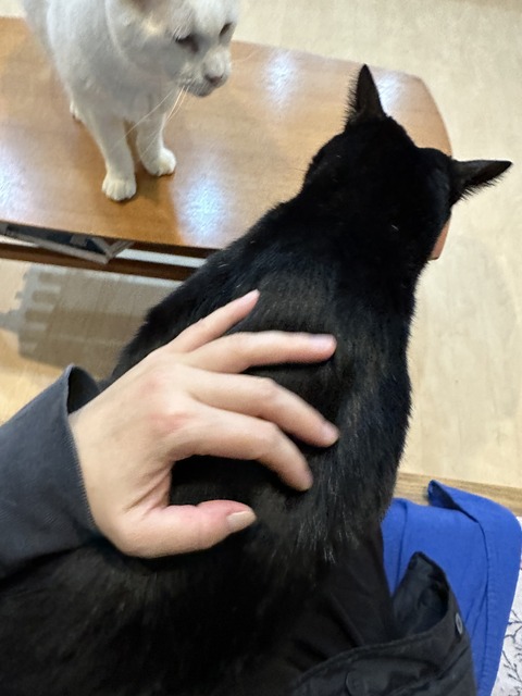 690079A3-8DAC-4DB9-B189-B7FBA76027C5