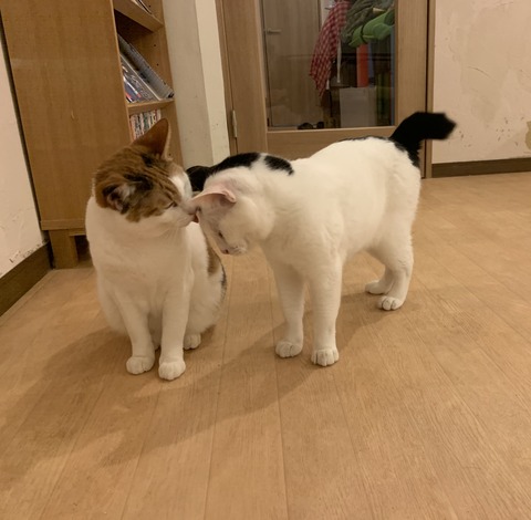 7A3EEC39-44D8-4E53-AA37-6B3F25E4BED4