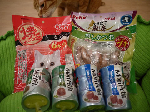 猫式ブログ～里親募集型猫カフェ