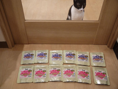 猫式ブログ～里親募集型猫カフェ