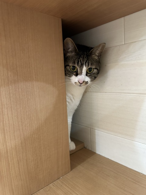 1DC8442A-FE72-479F-8E86-55A75952ACF6