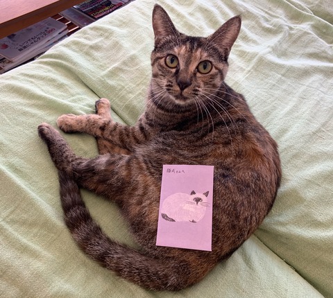 8CFD6778-F071-4F1F-ADBD-304D0DE724C9