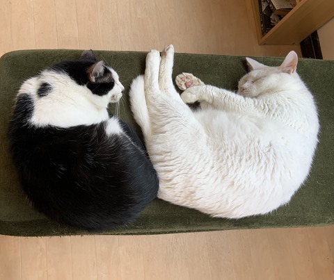 AC5E9F91-A4A3-4818-84AC-FB3C5640C6A1