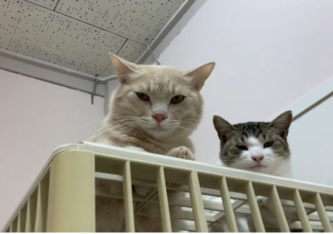 9C903DA7-4E51-42F2-8AF2-8306802037C2