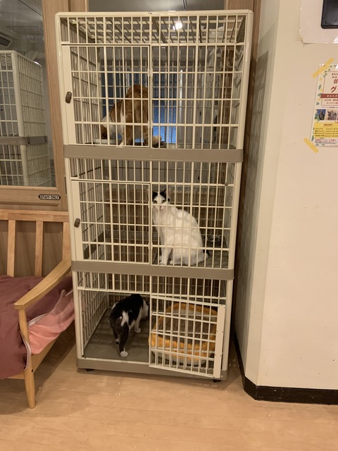 4DB04A2A-6E9C-45B6-BA21-6C08F4528F48