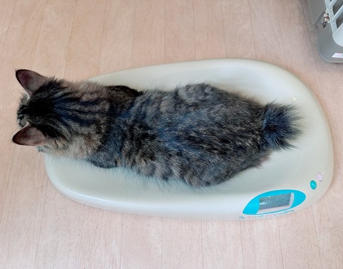 A4543076-8BFA-480E-B8ED-2116B2721D90