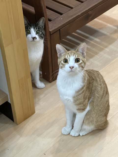 E26AA512-F255-46F2-A70A-1A5BC93F878E