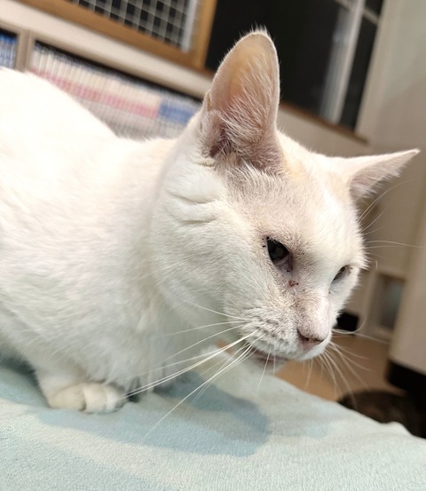 3745E931-4C7A-477F-B085-487605F38E8D